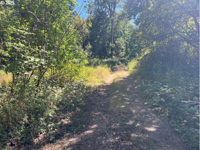 main property photo 33