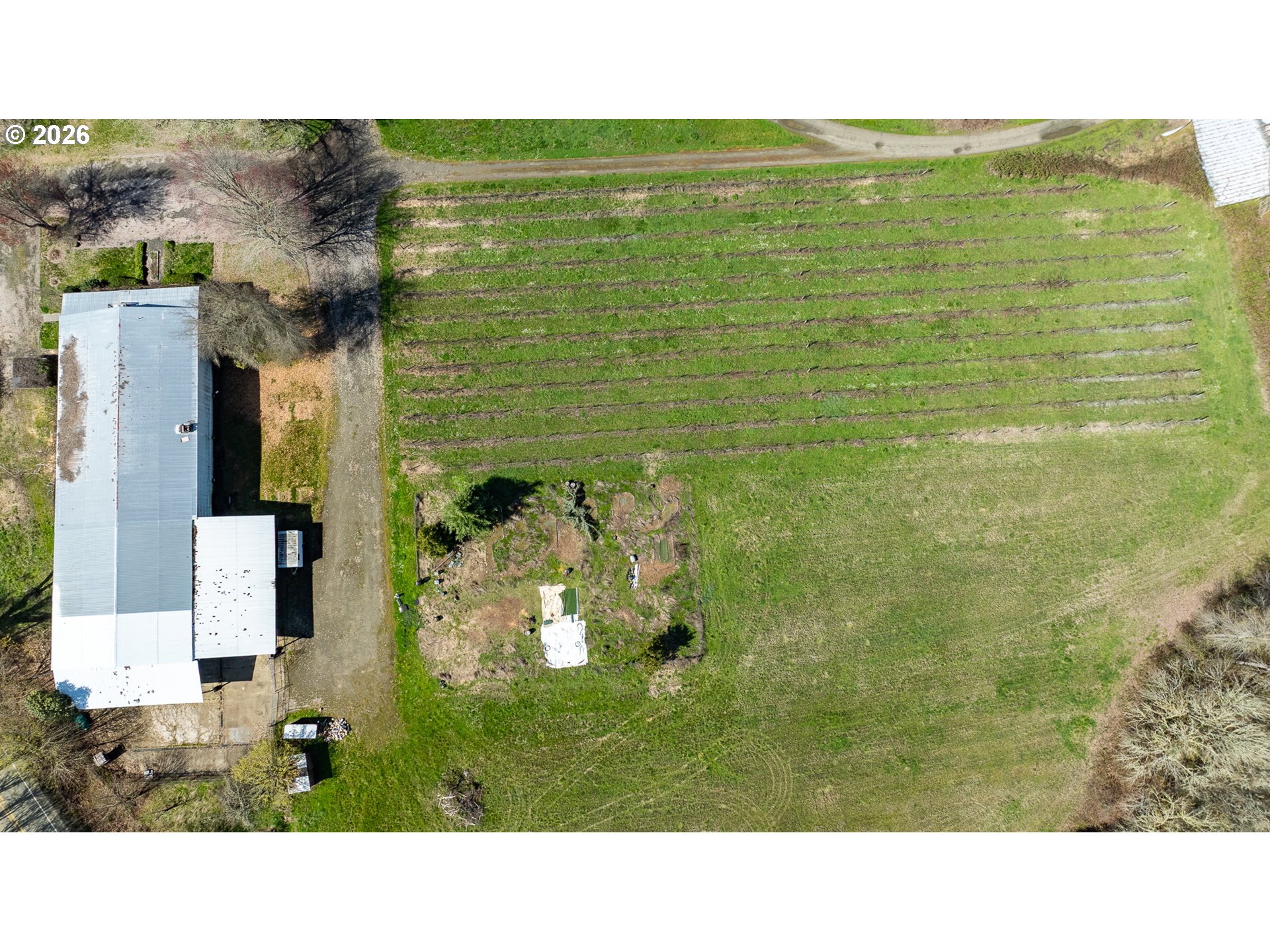 main property photo 13
