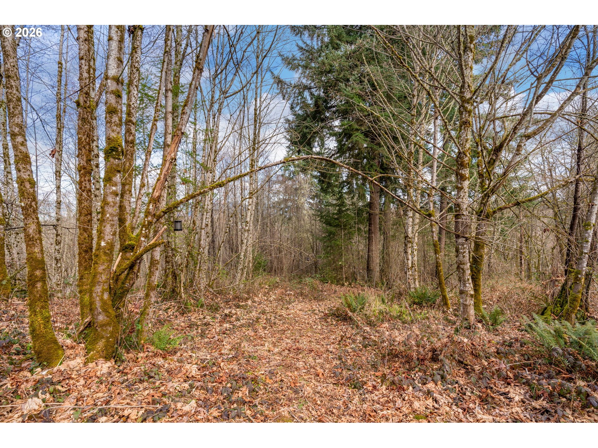 main property photo 40