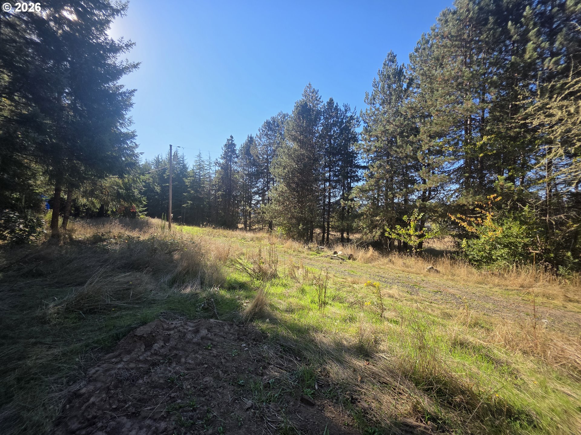 main property photo 11