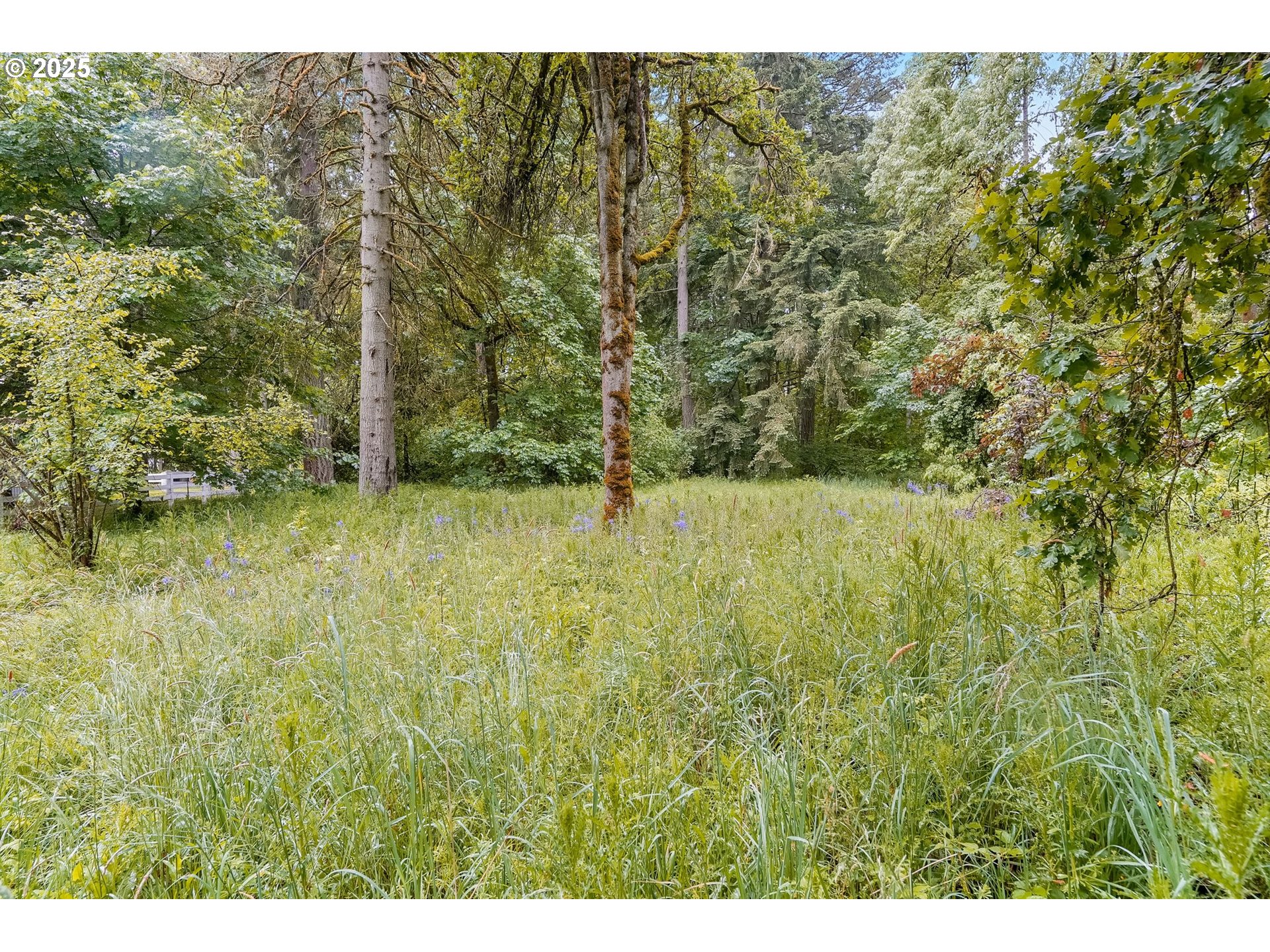 property viewer photo 35