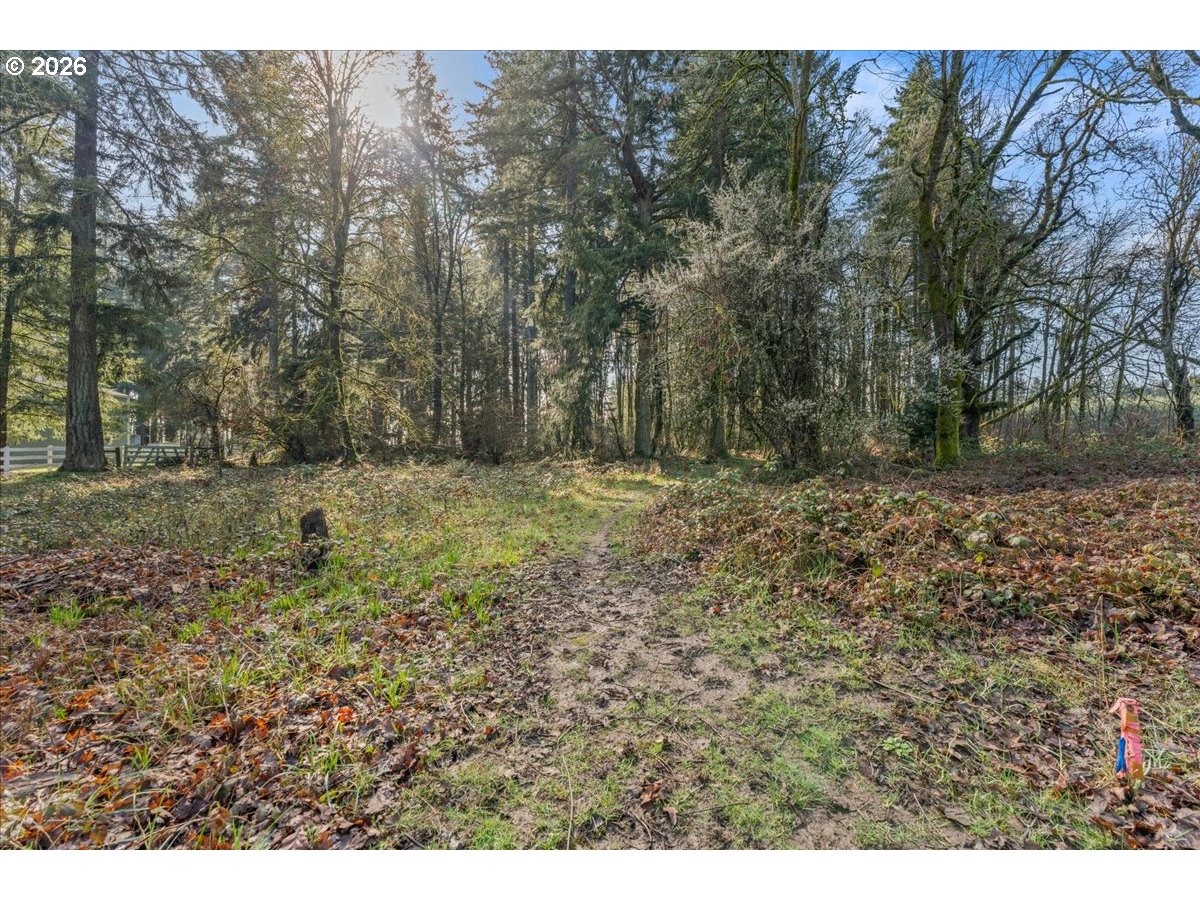 property viewer photo 46