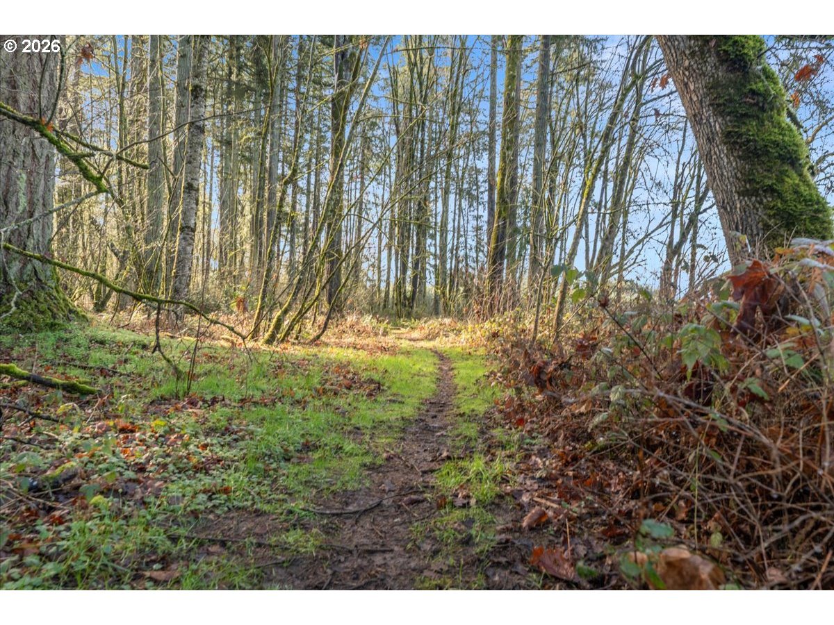 property viewer photo 47