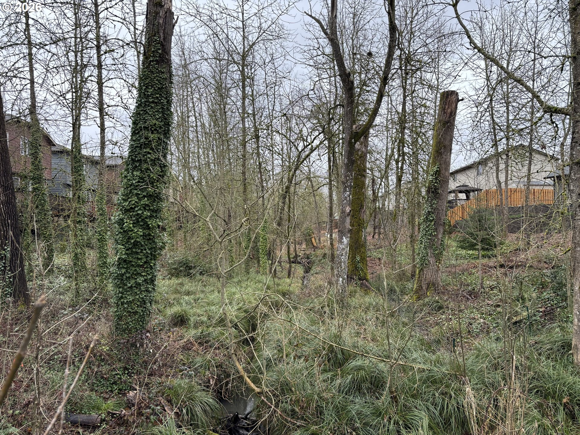 property viewer photo 41