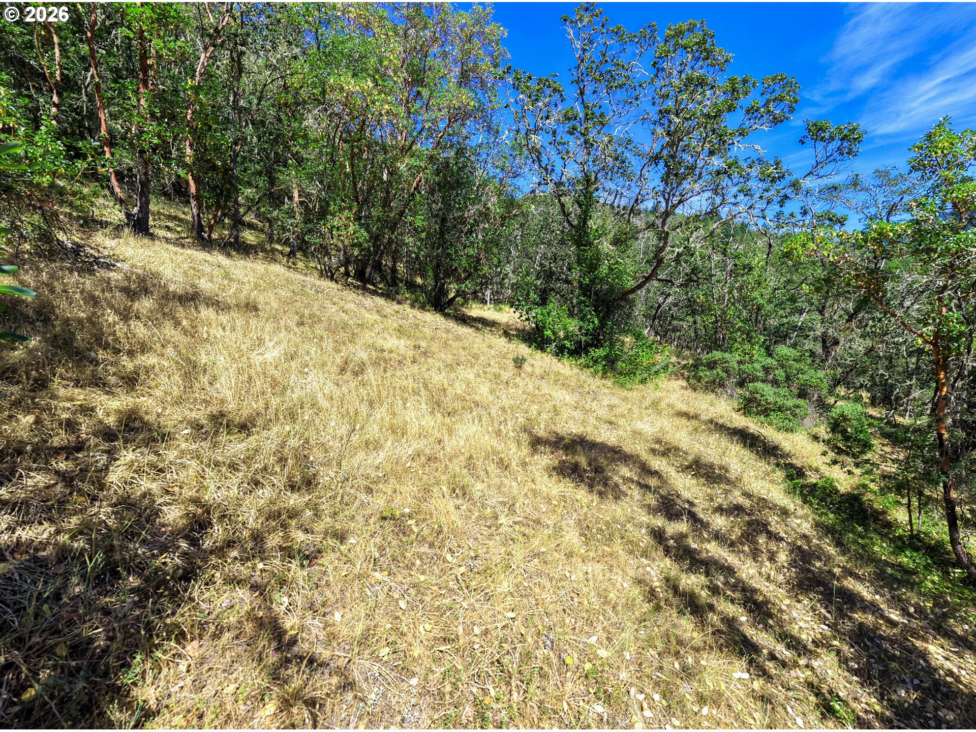 main property photo 35