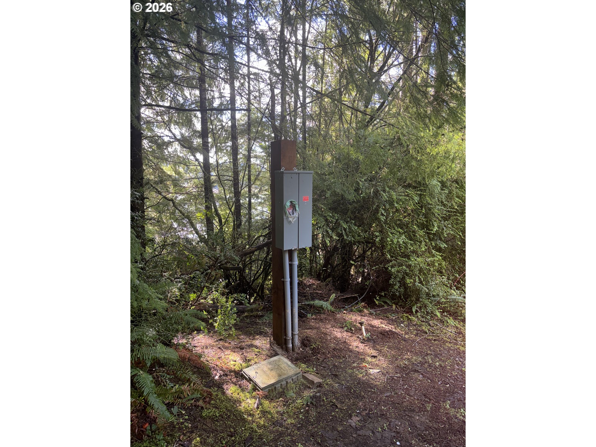 main property photo 6