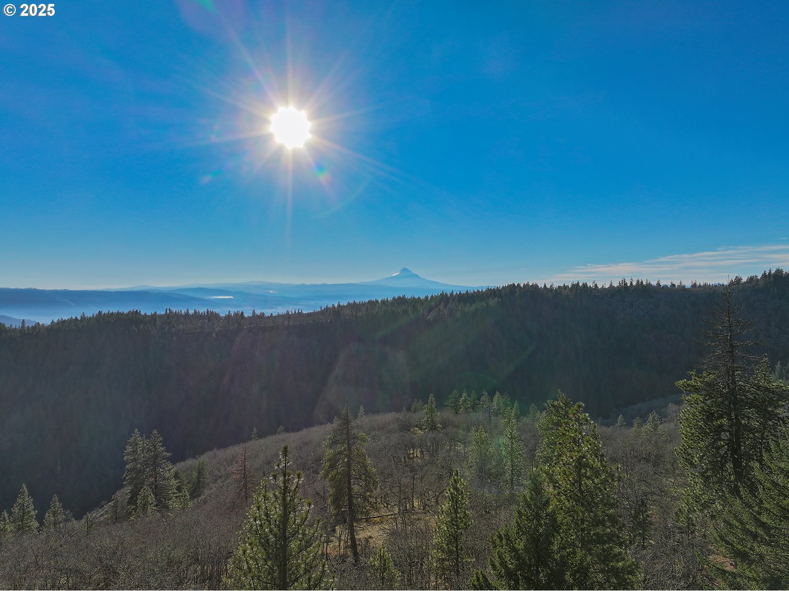 property viewer photo 1