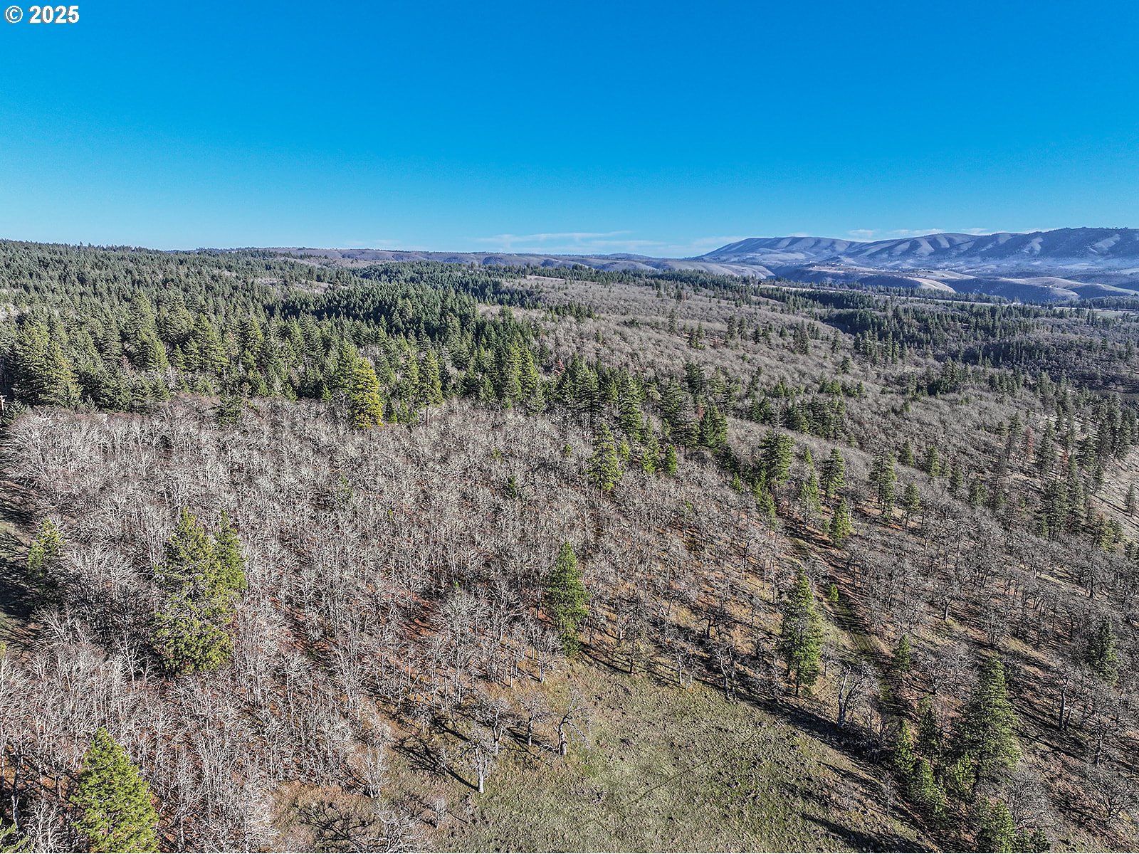 property viewer photo 11