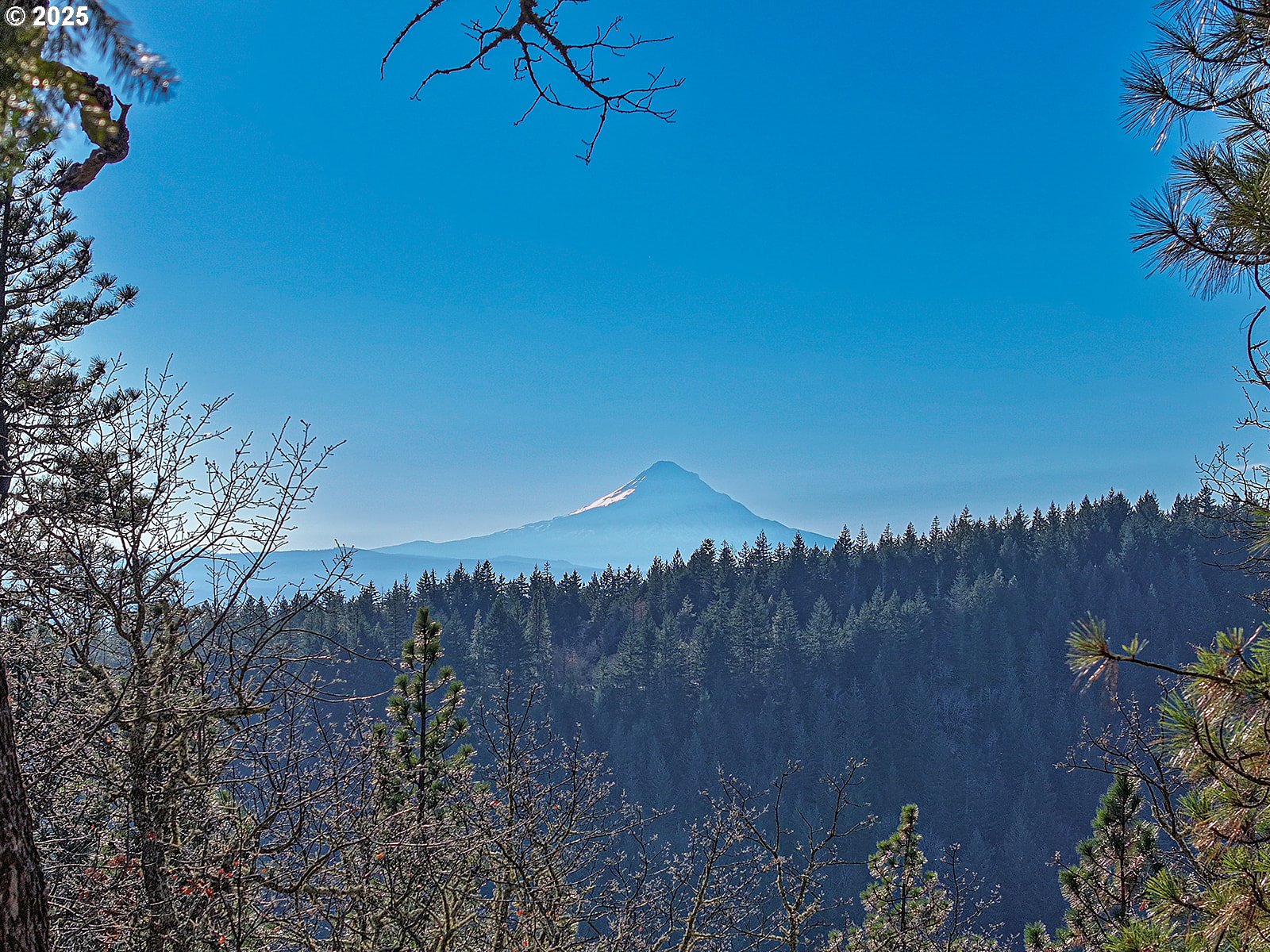 property viewer photo 16