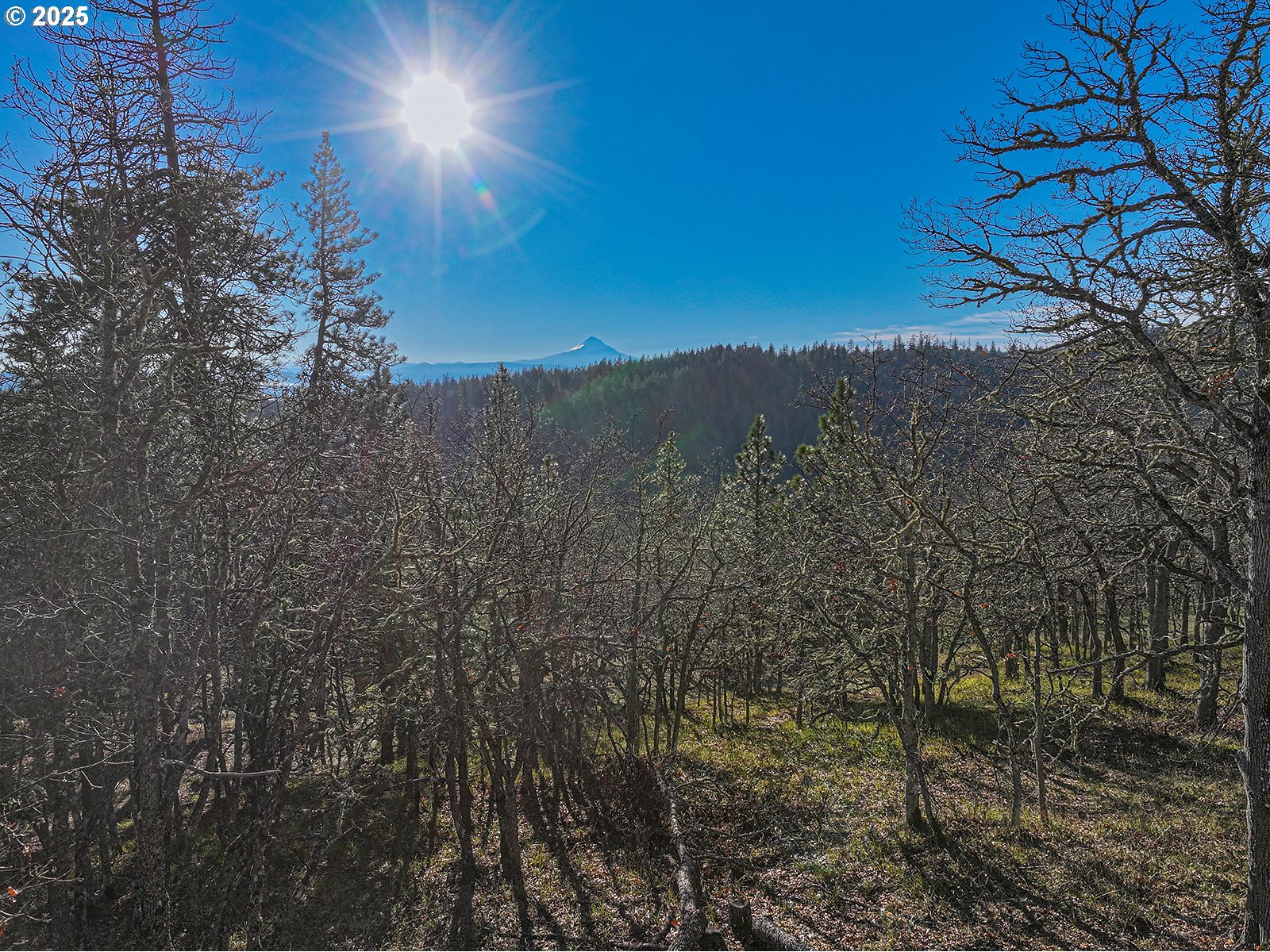 property viewer photo 17