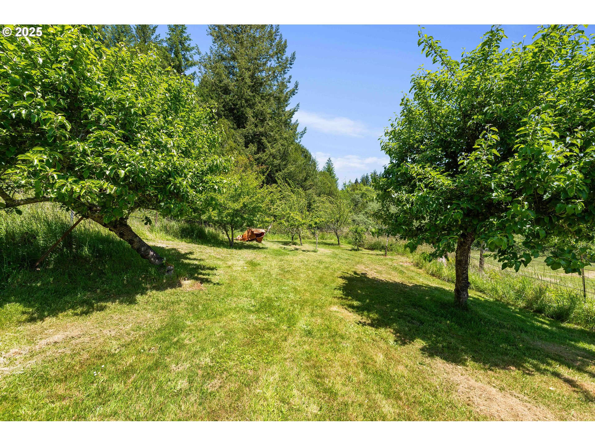 main property photo 31