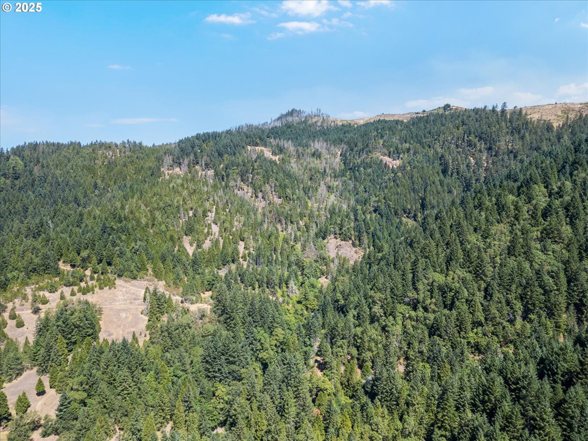 property viewer photo 10