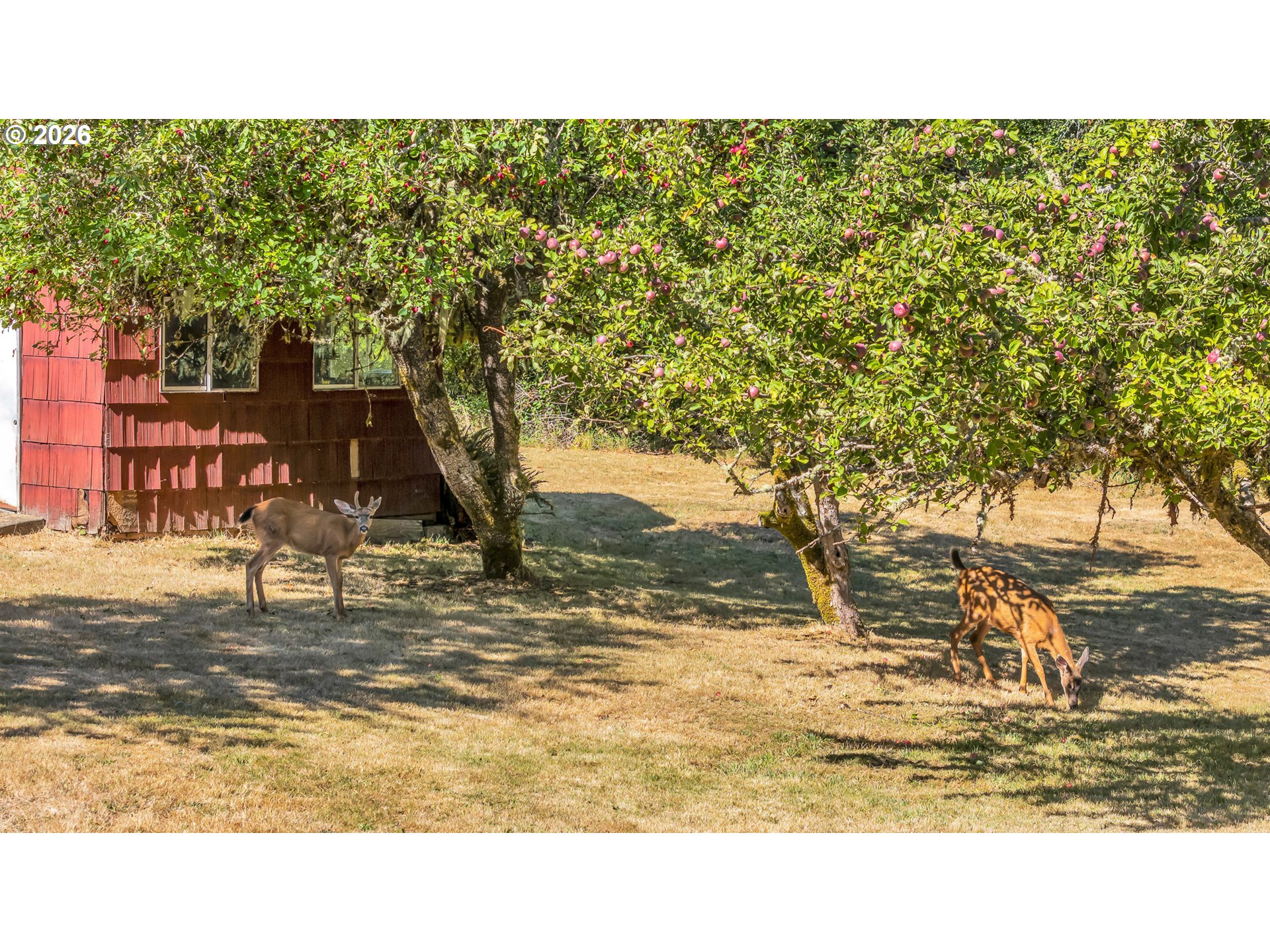main property photo 16
