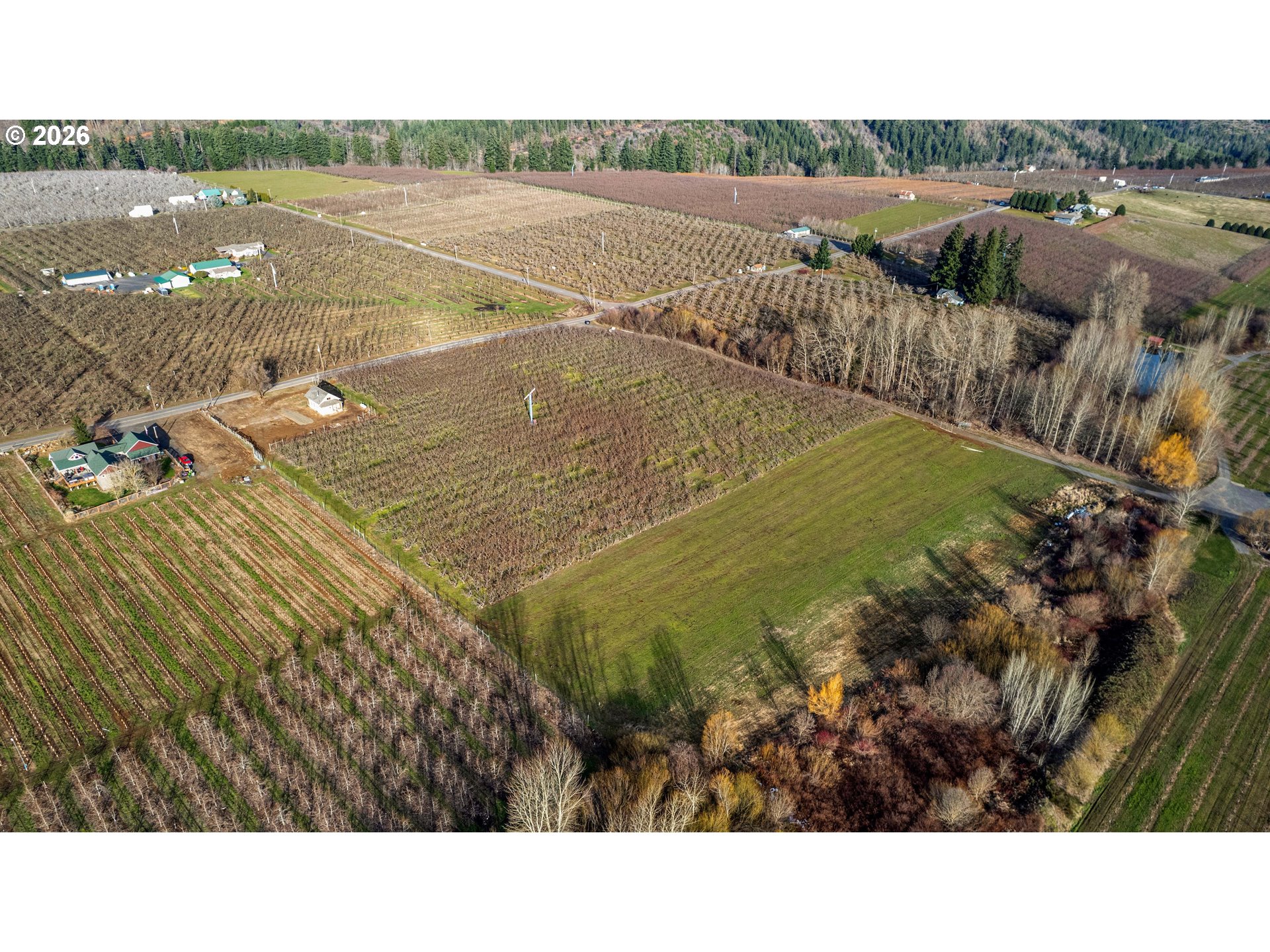 main property photo 29