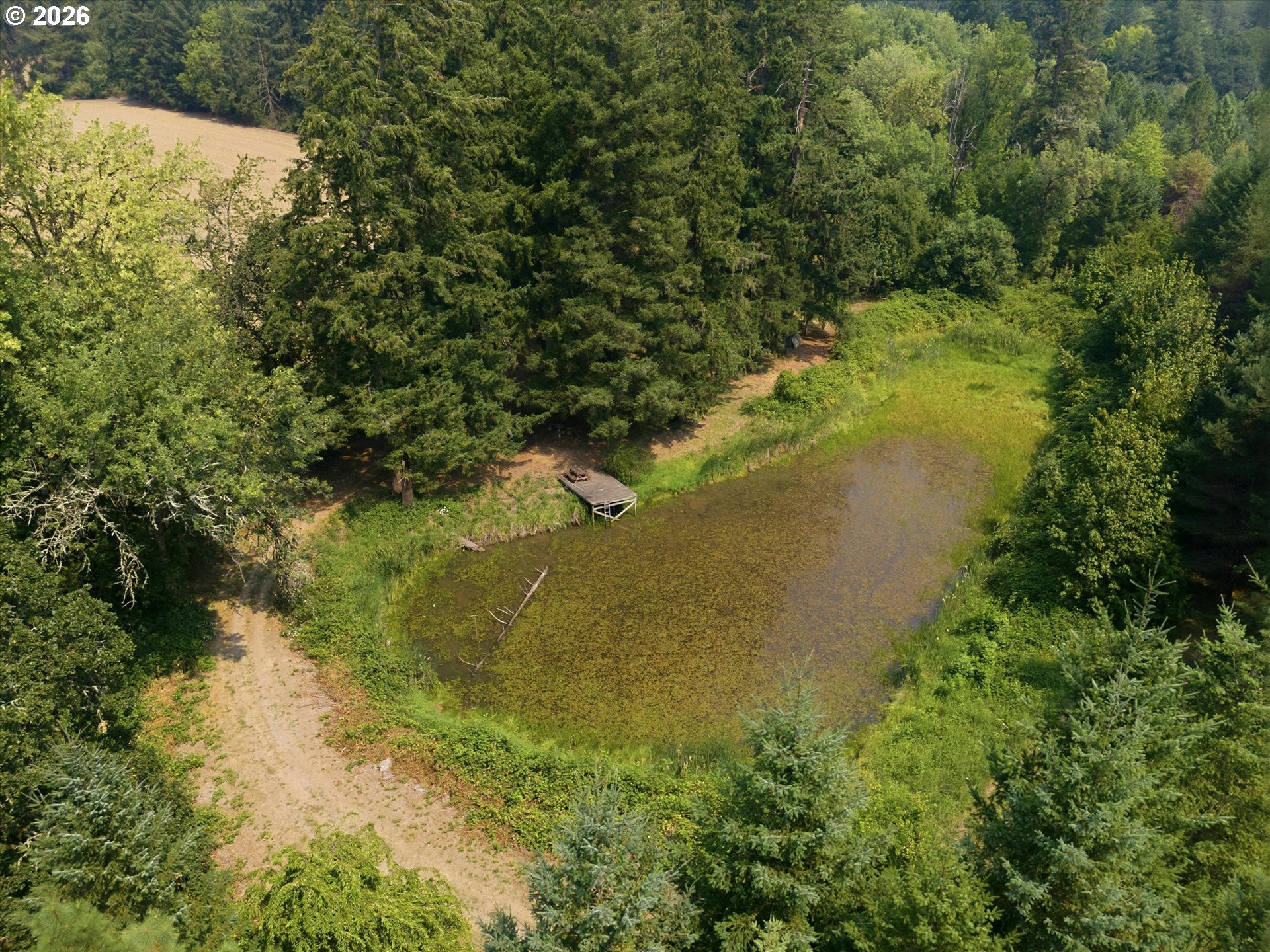 main property photo 36