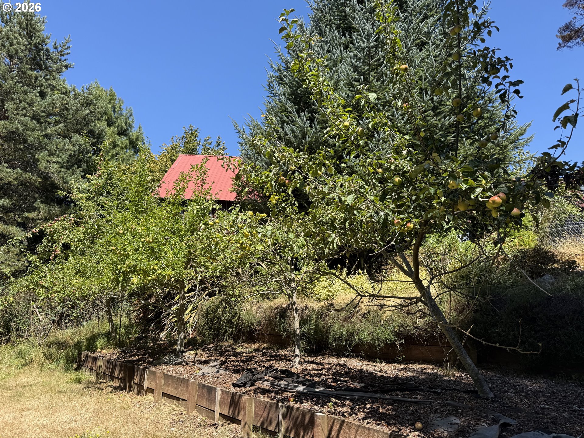 main property photo 10