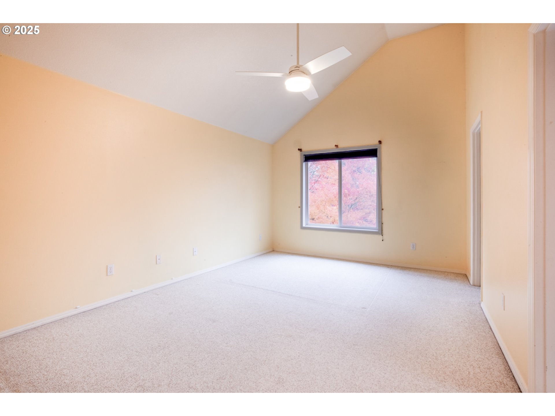 property viewer photo 14