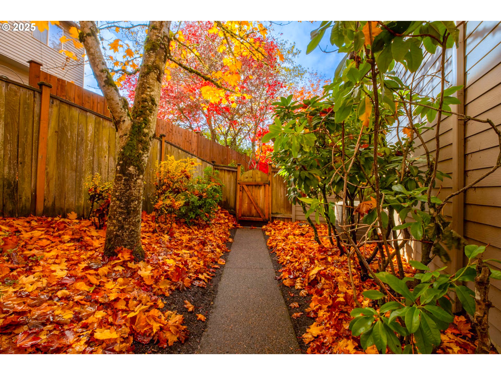 property viewer photo 22