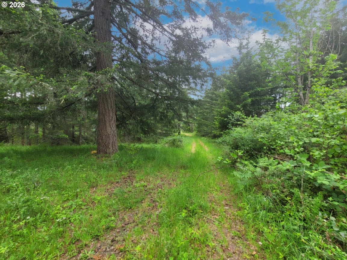 main property photo 11