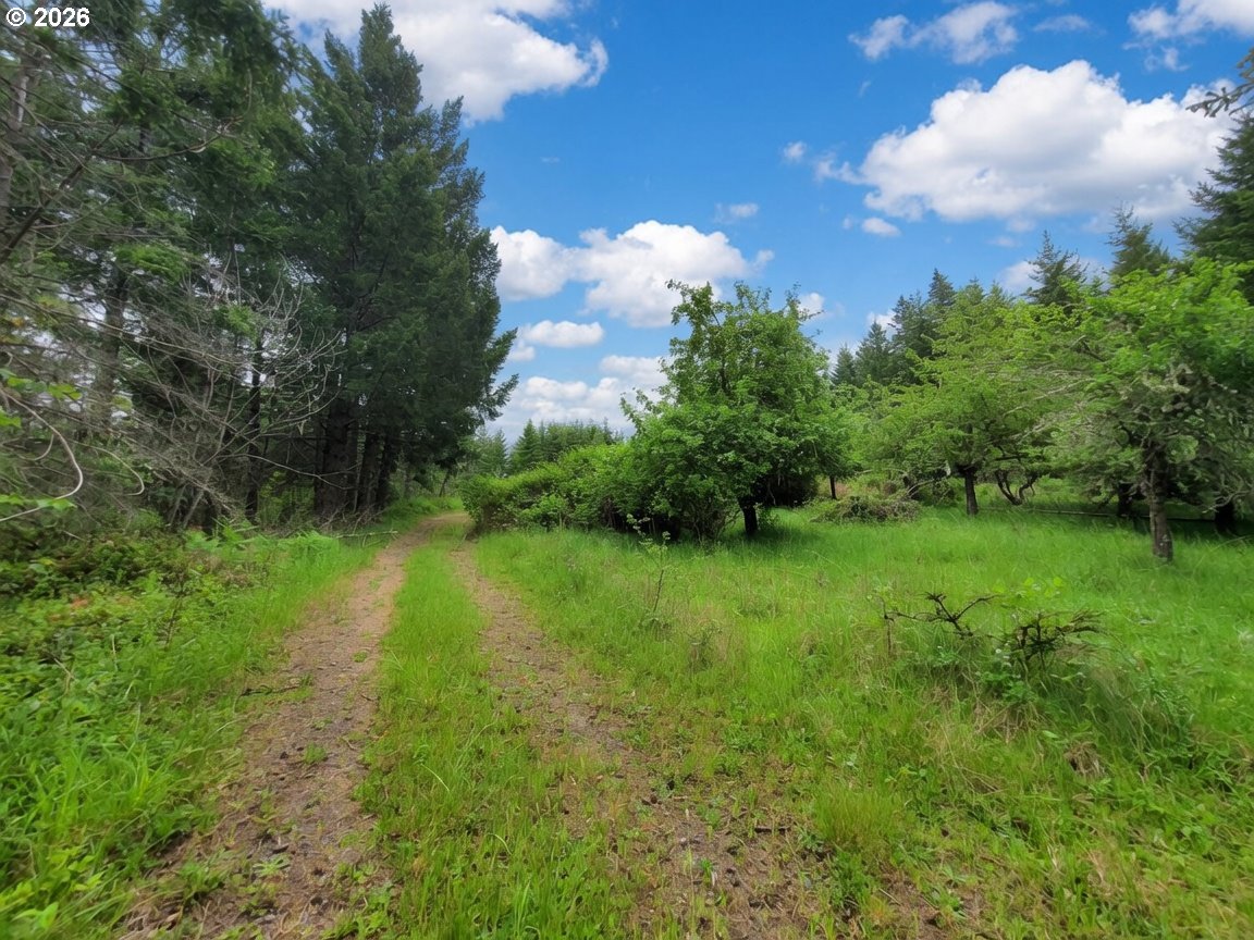 main property photo 12