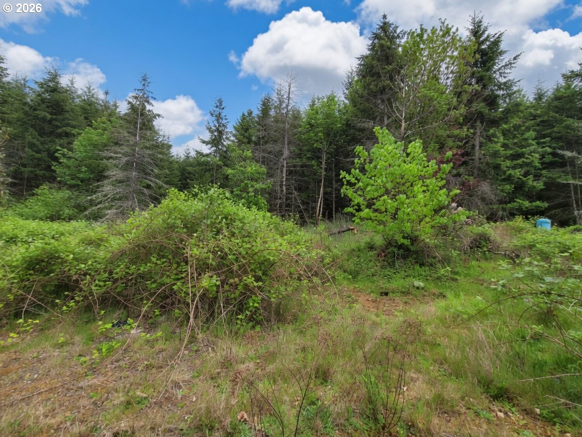 main property photo 7