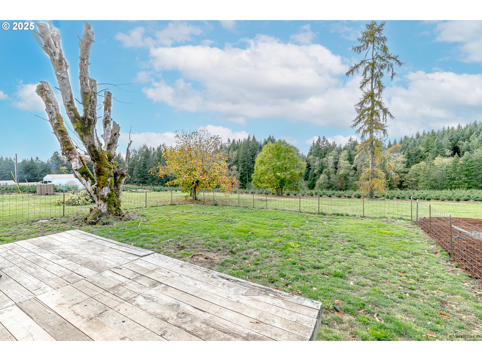 main property photo 33