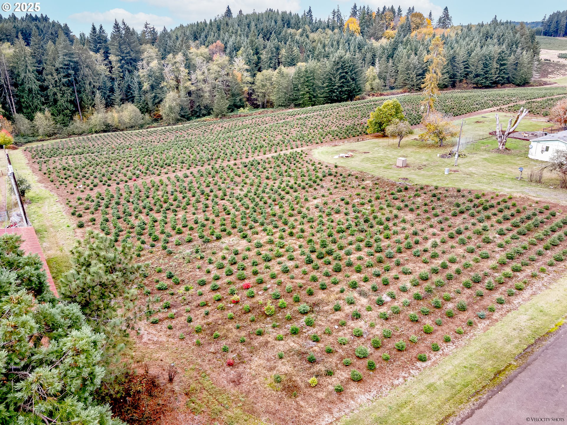 main property photo 43
