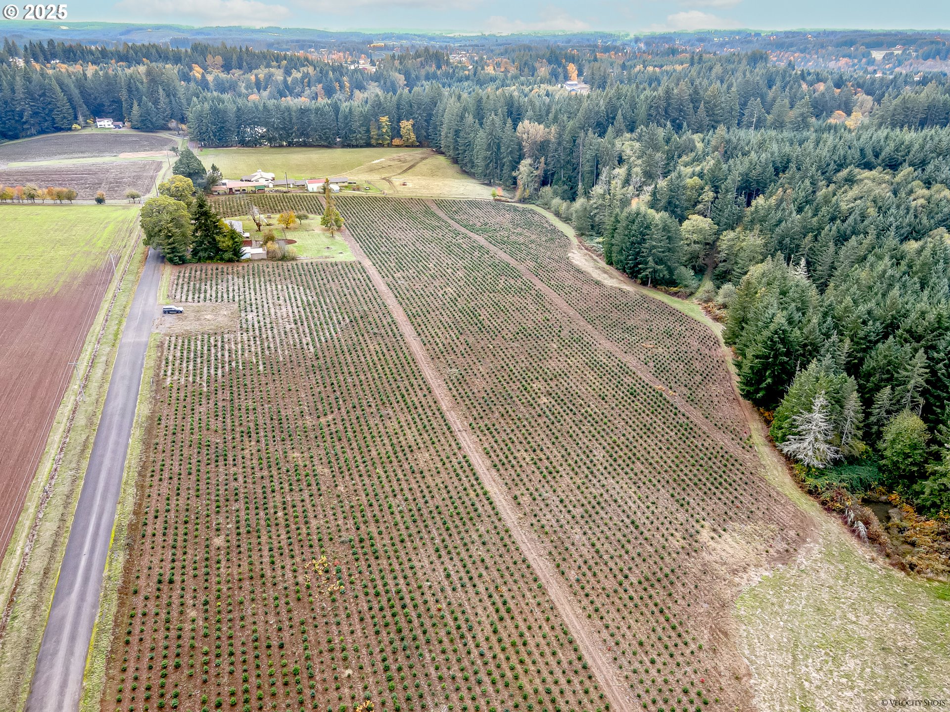 main property photo 44