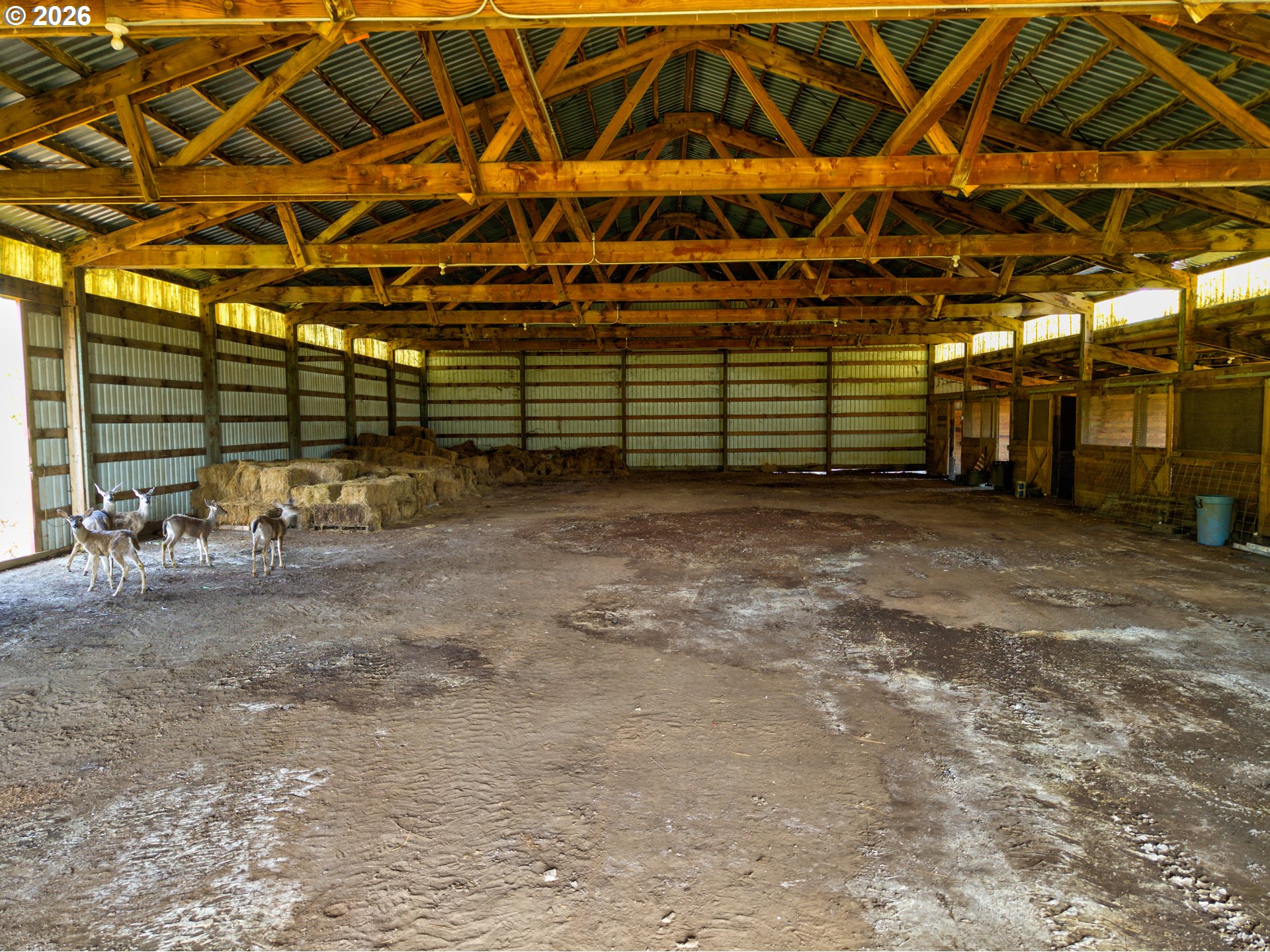 main property photo 21