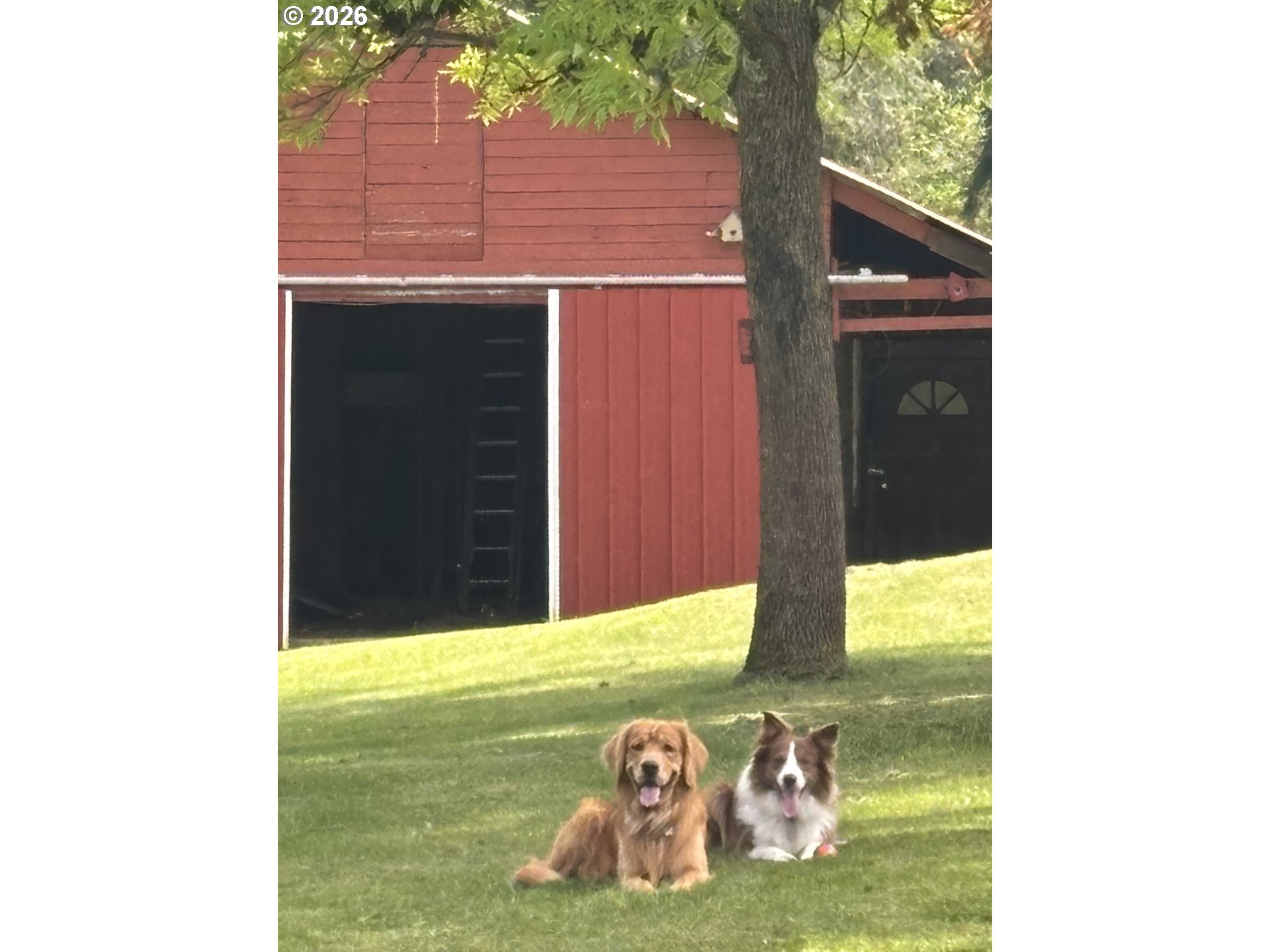 main property photo 17