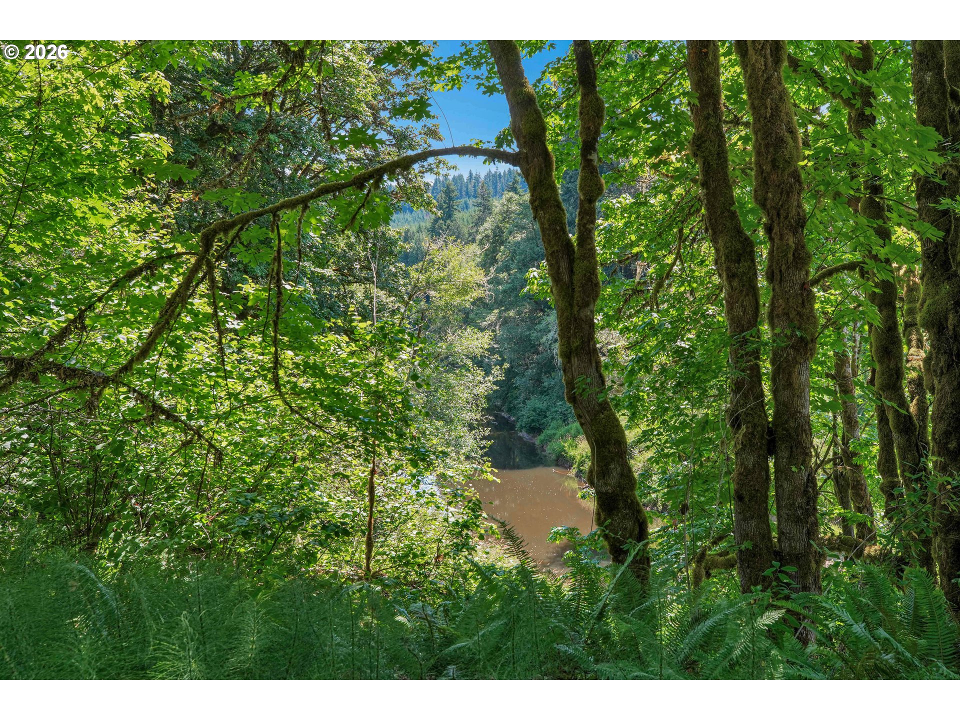 main property photo 40