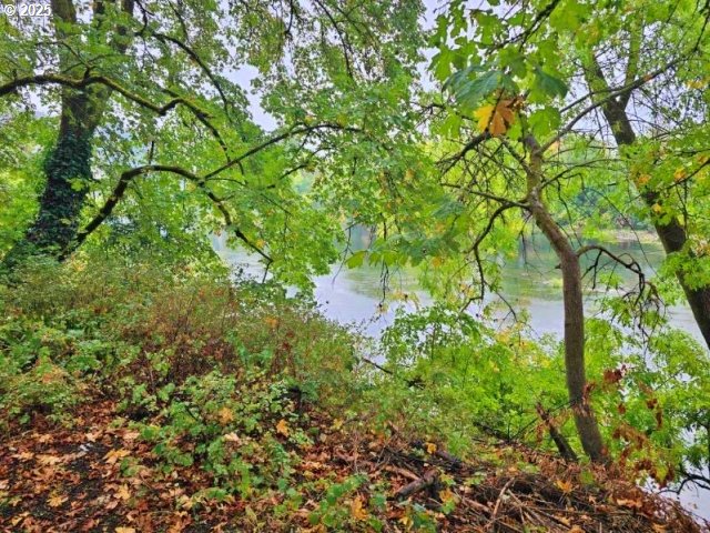 property viewer photo 5