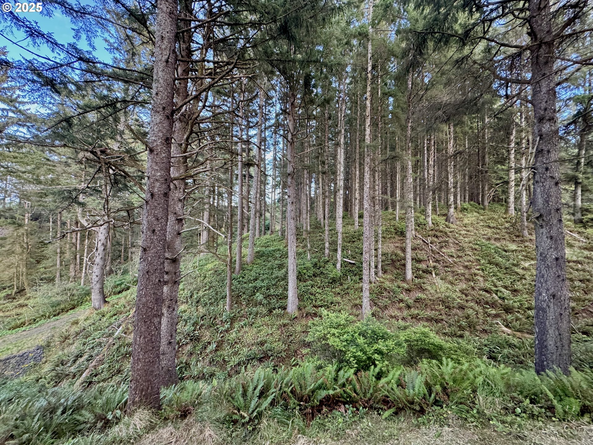 main property photo 19