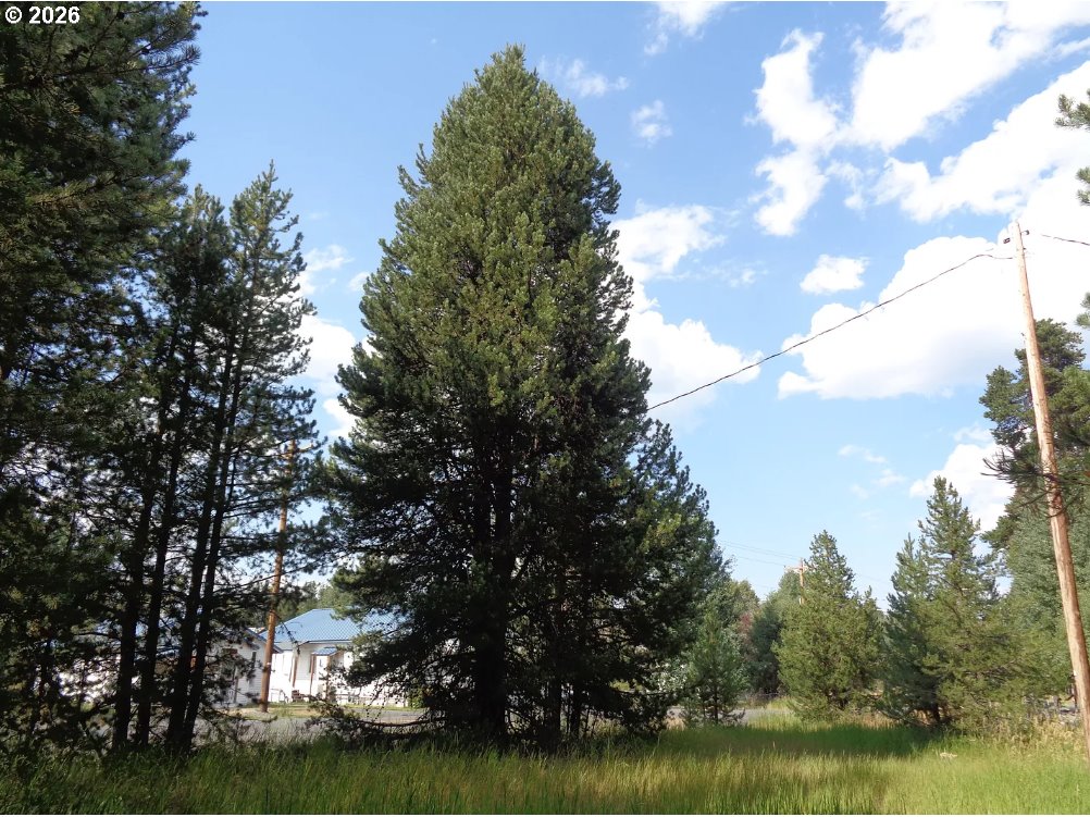 property viewer photo 1