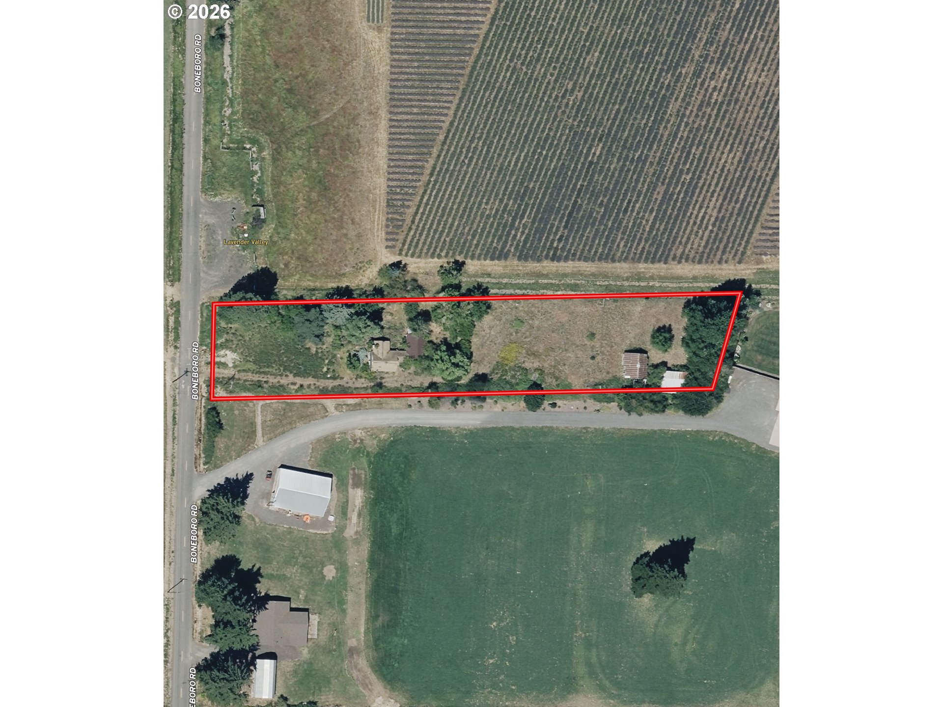 main property photo 9