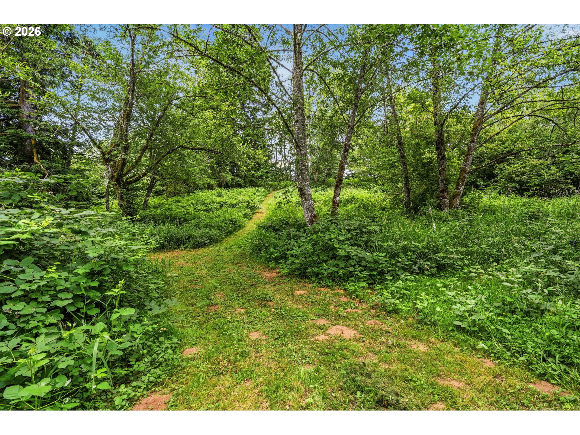 main property photo 42