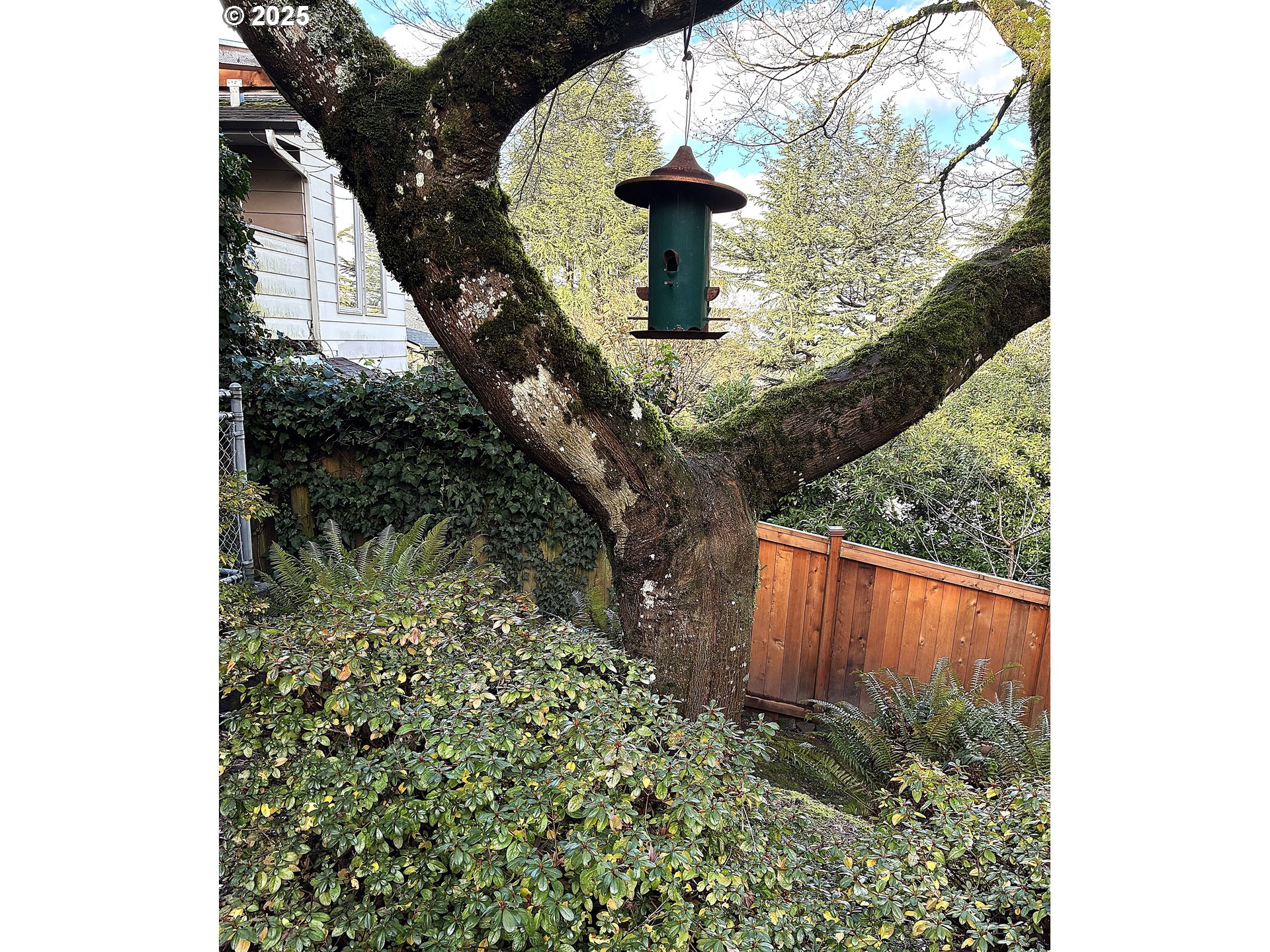 property viewer photo 39