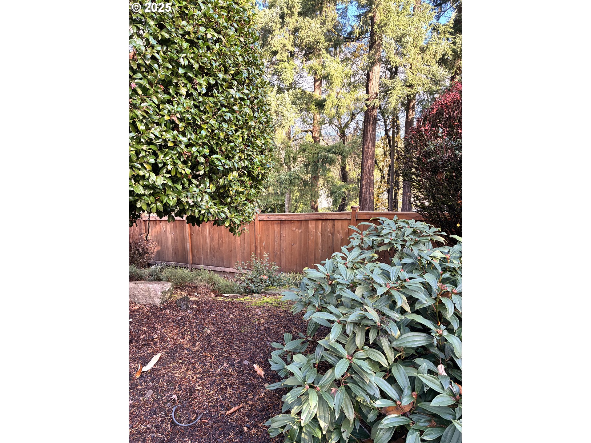 property viewer photo 40