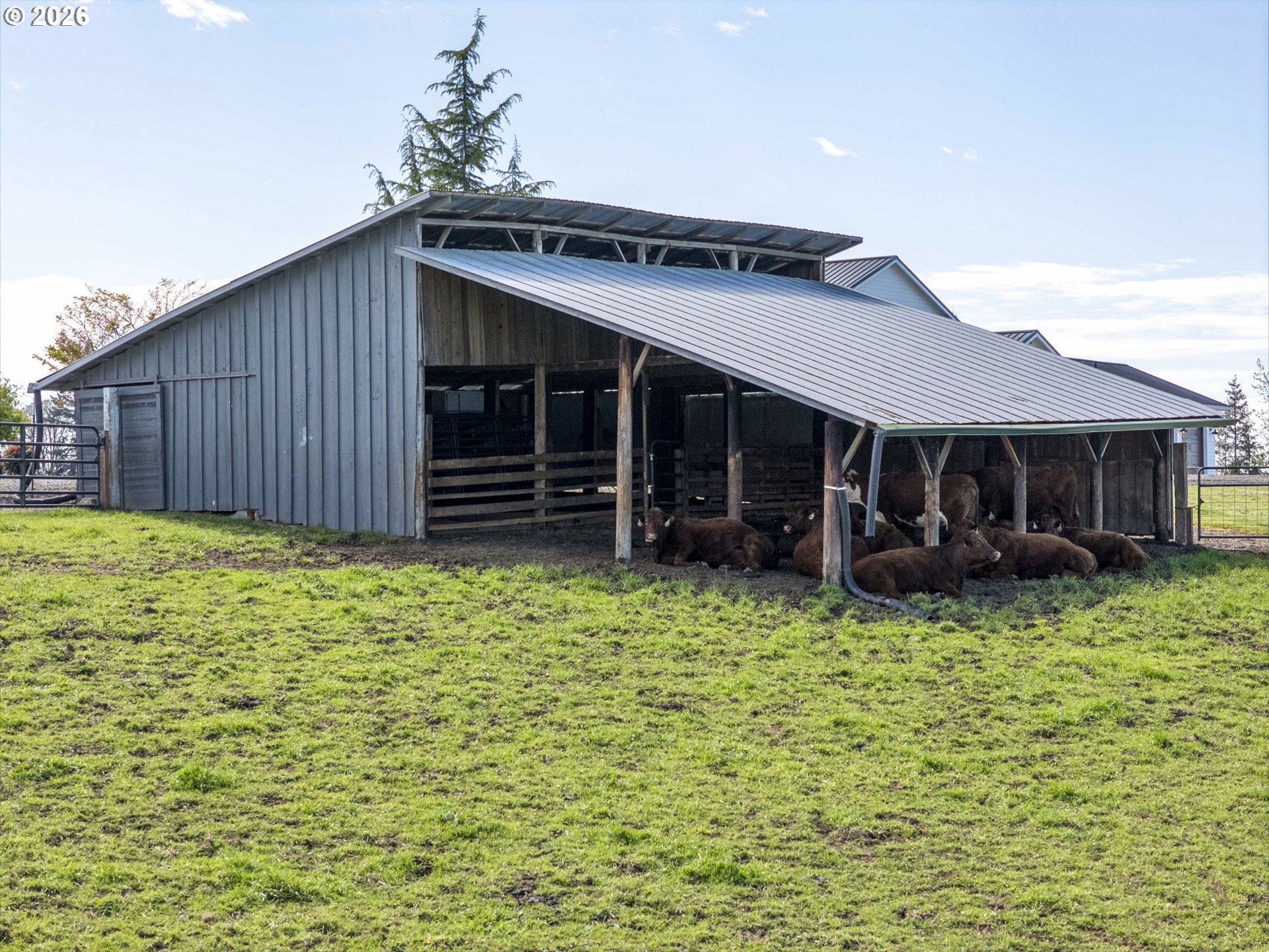 main property photo 39