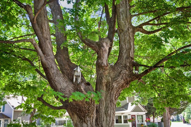 701 E Indiana Ave, Coeur d'Alene, ID 83814