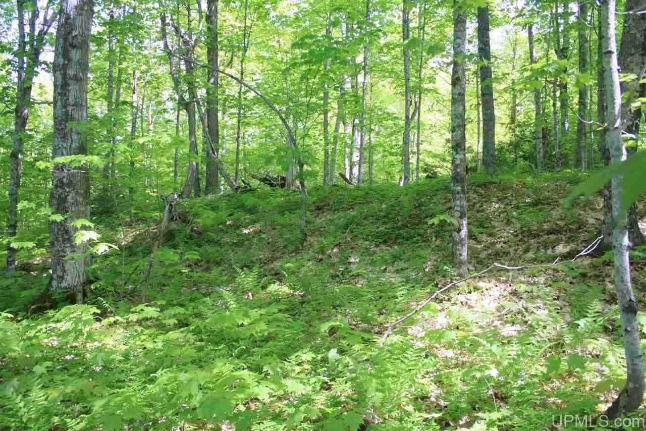 main property photo 6