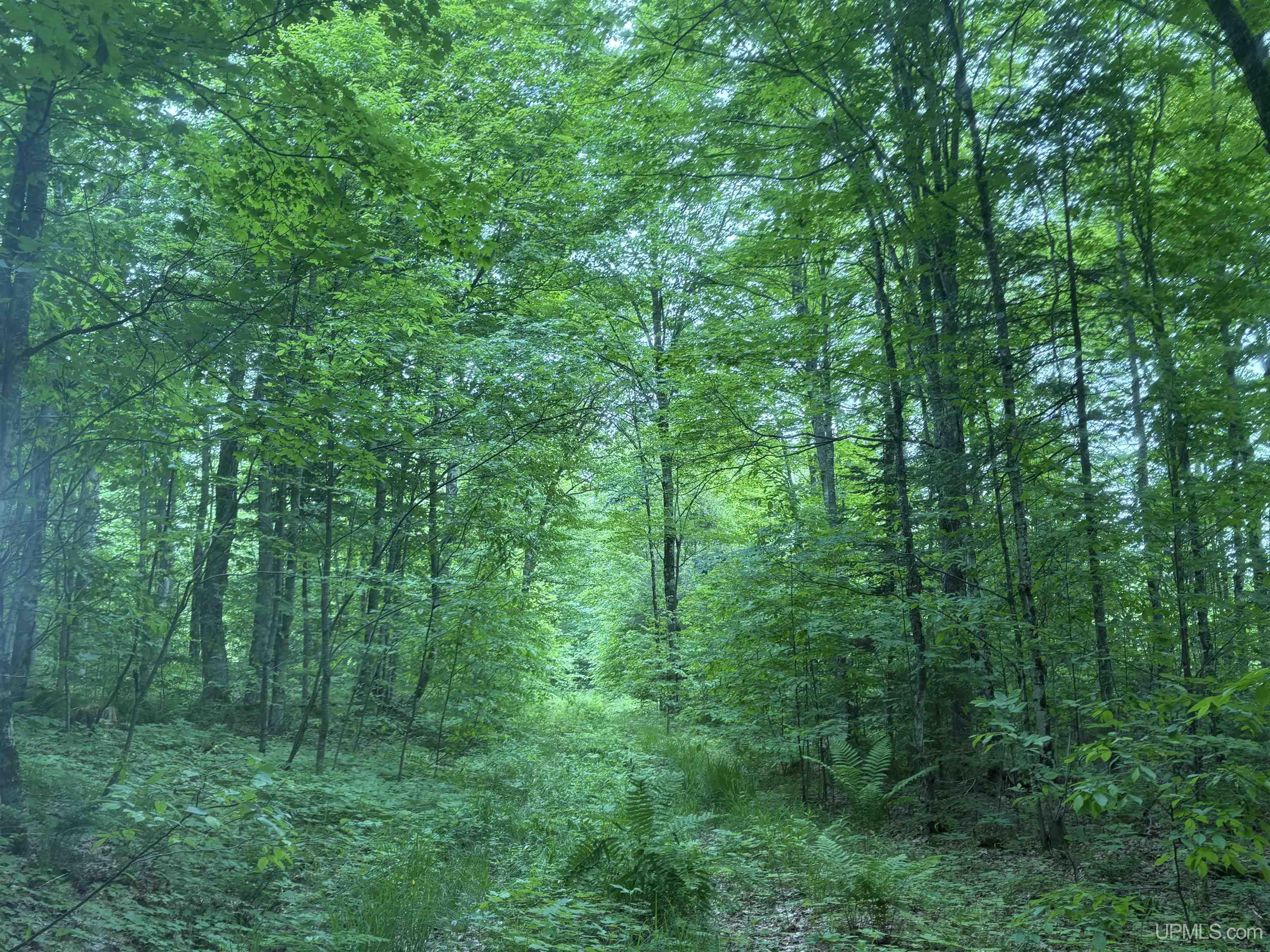 main property photo 11
