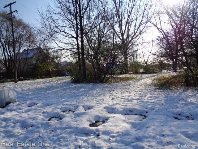 main property photo 4