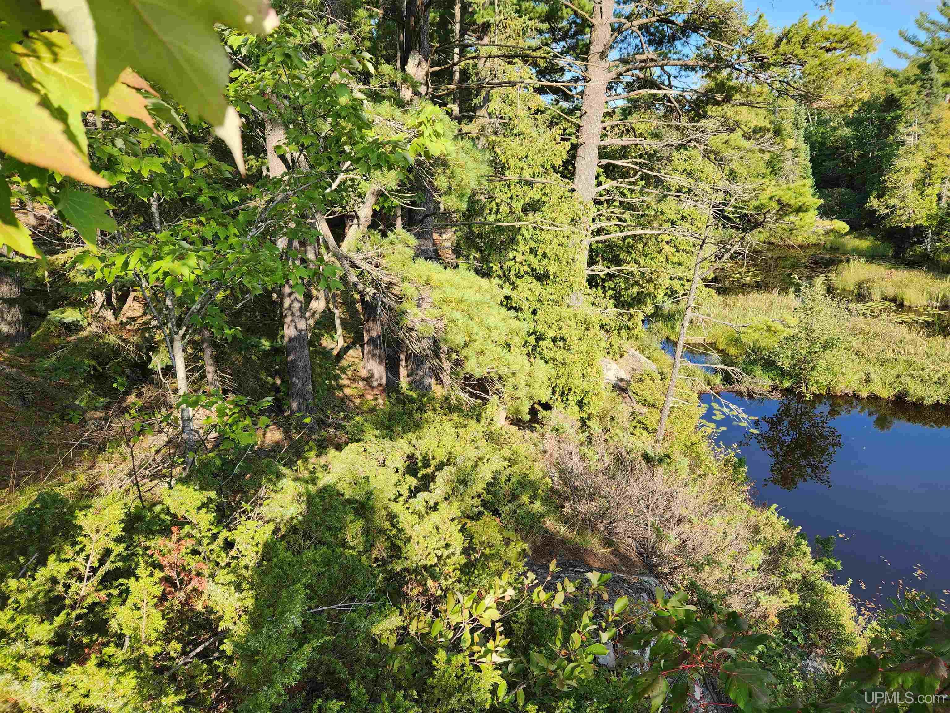 main property photo 67