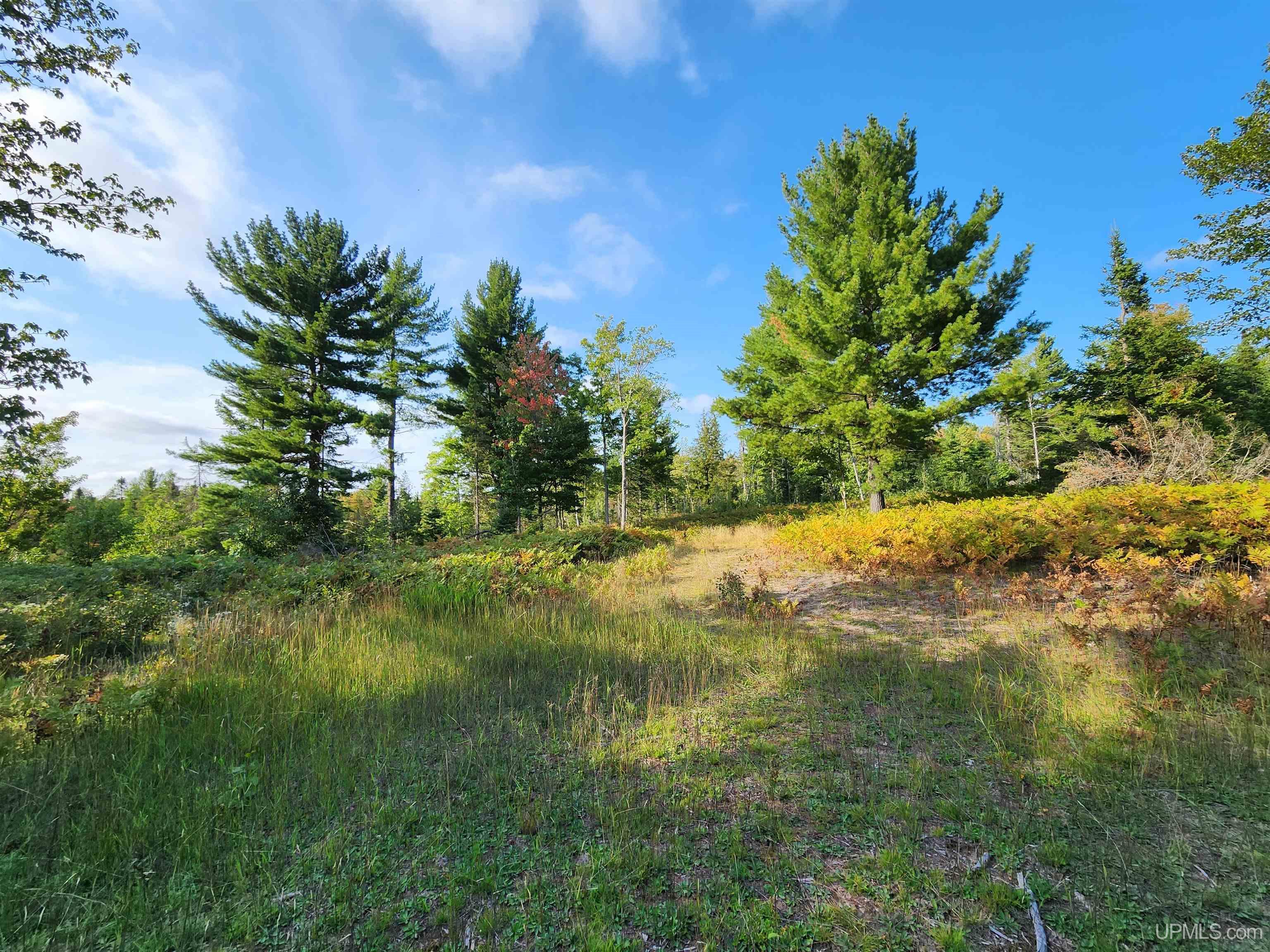 main property photo 77