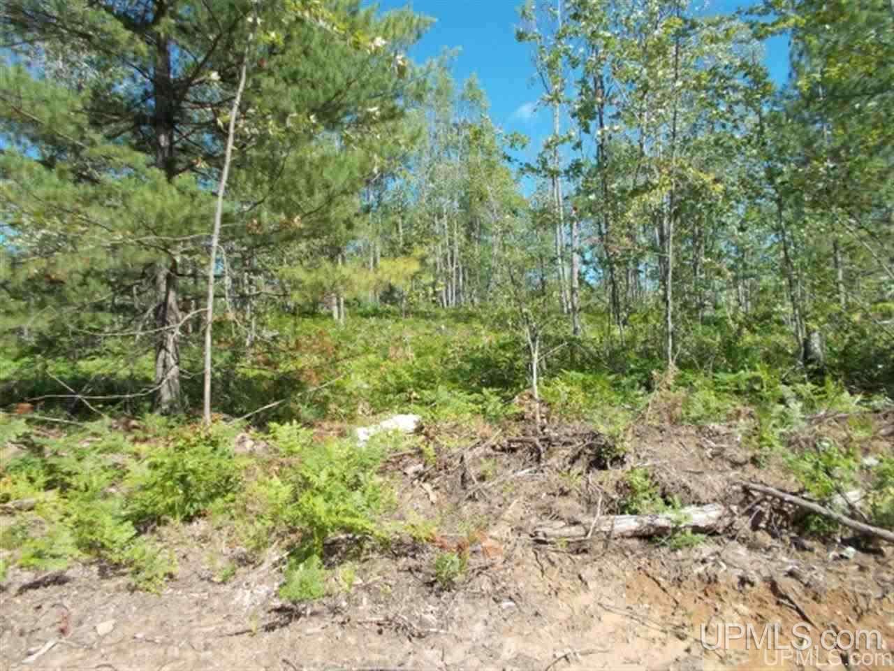 main property photo 12