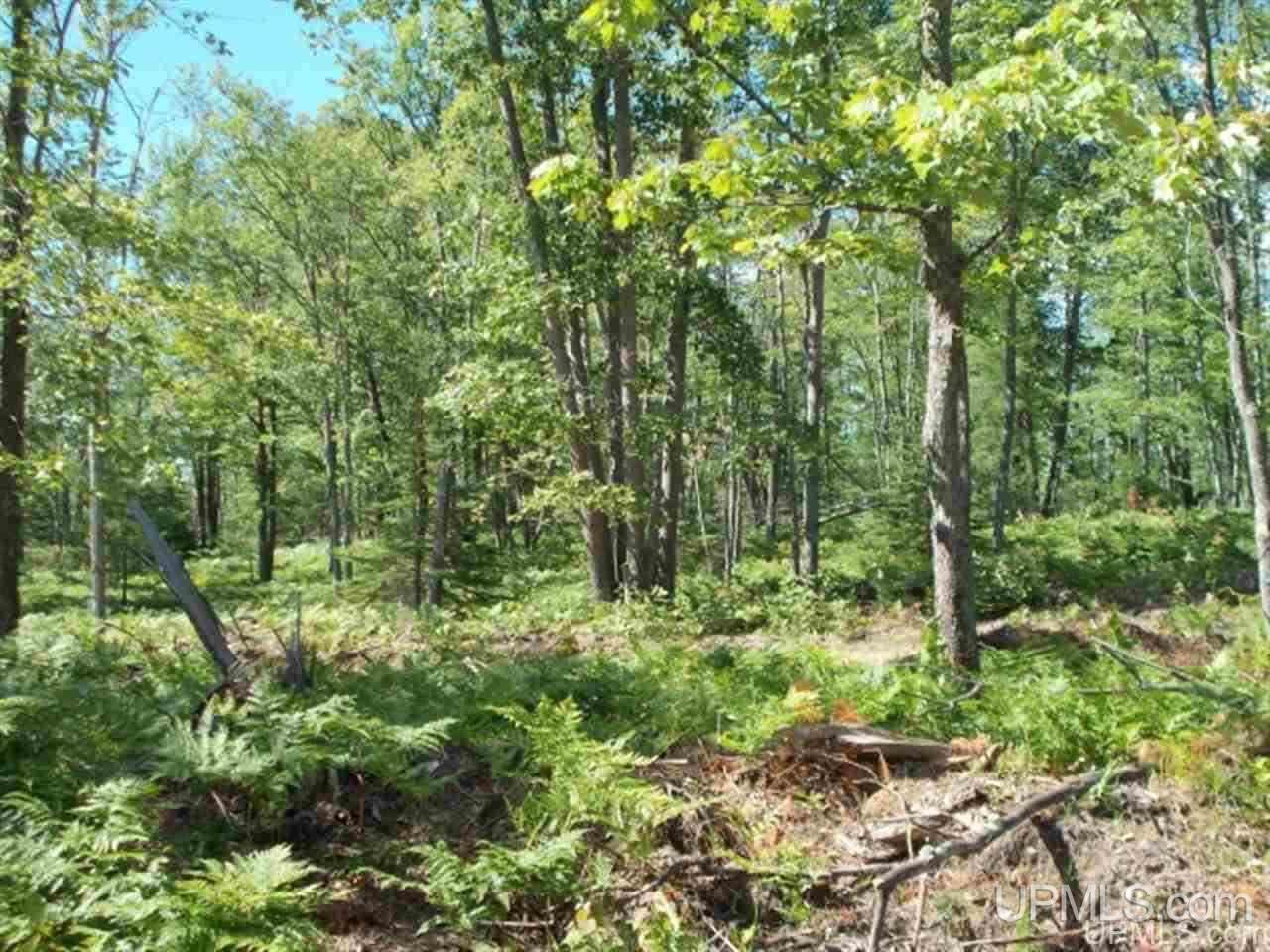 main property photo 14