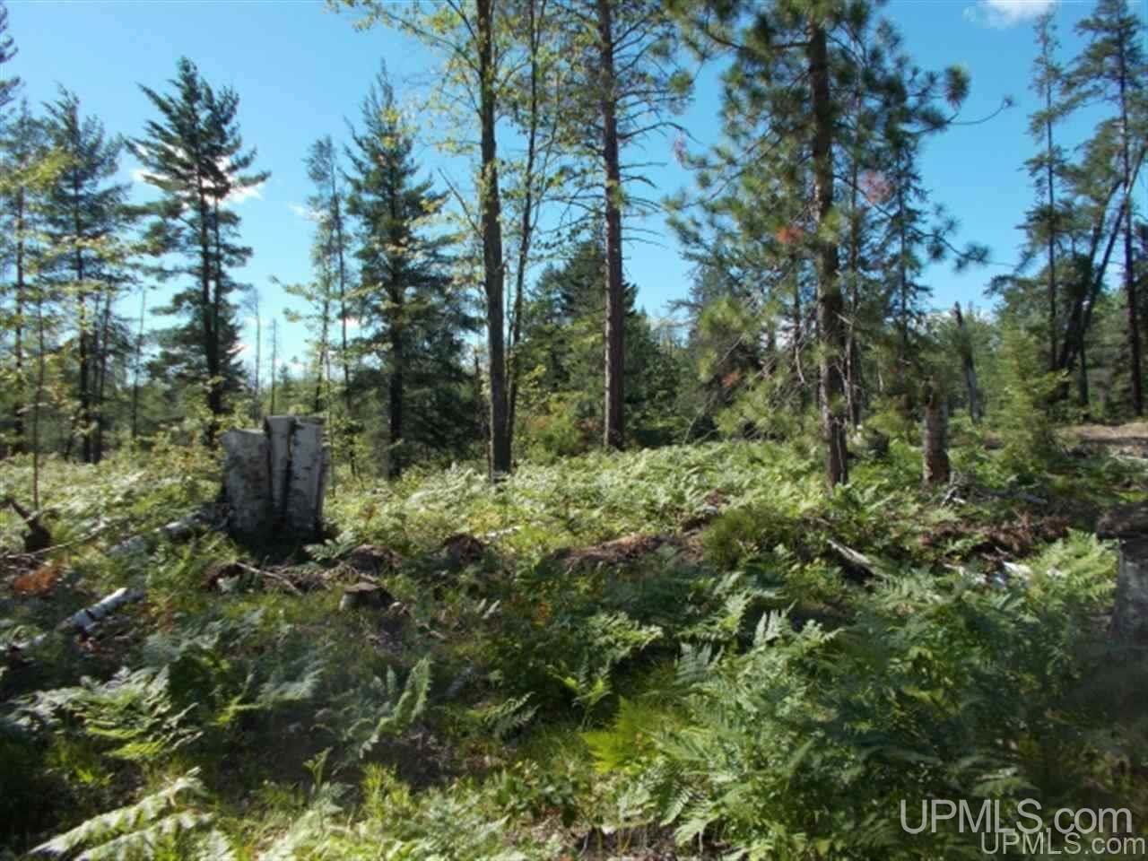 main property photo 15