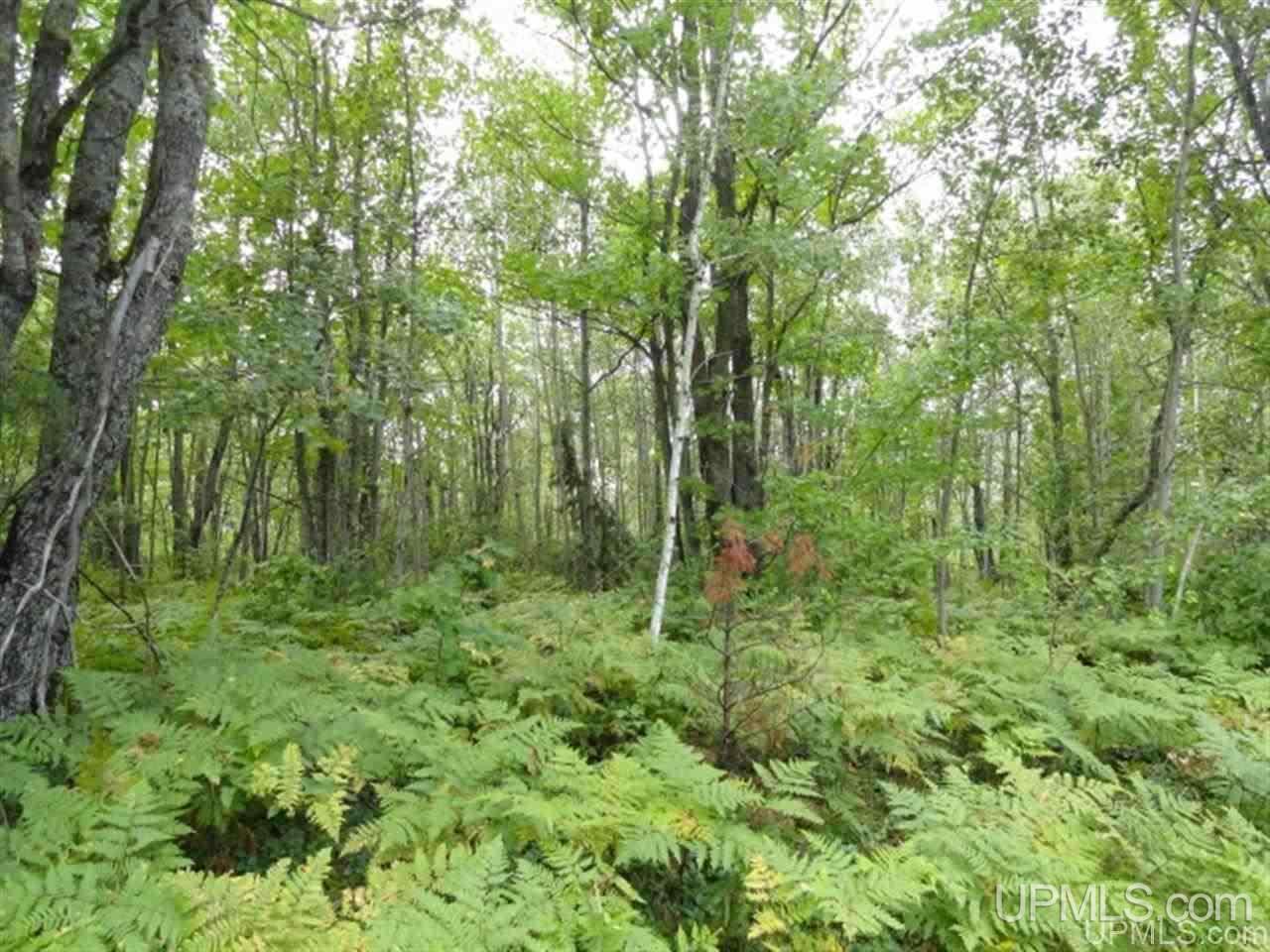 main property photo 26