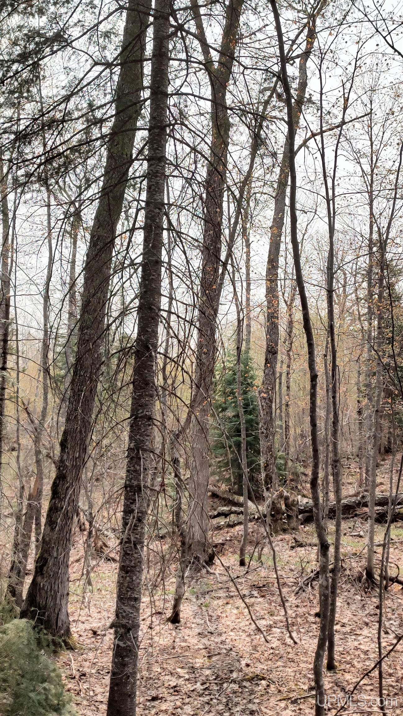 main property photo 38